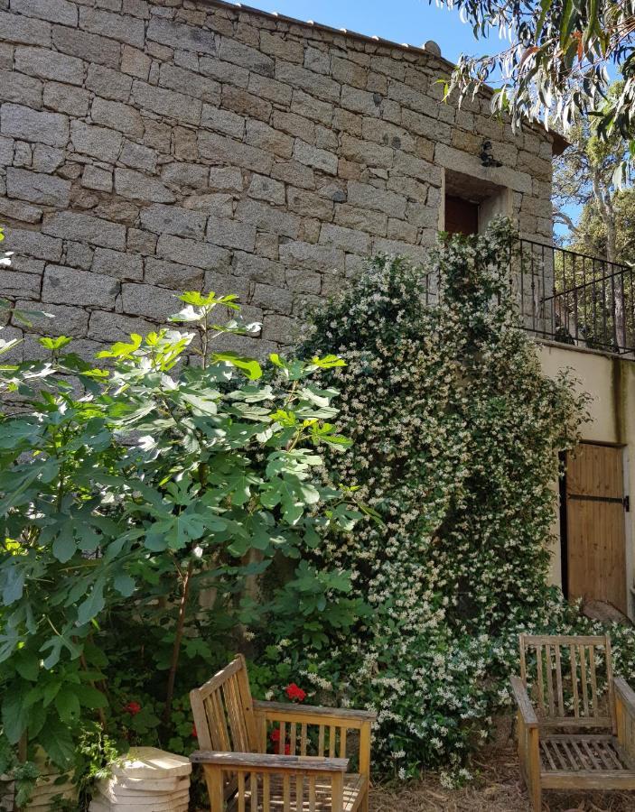Chambres D'Hotes Barraconu Porto-Vecchio  Exteriör bild